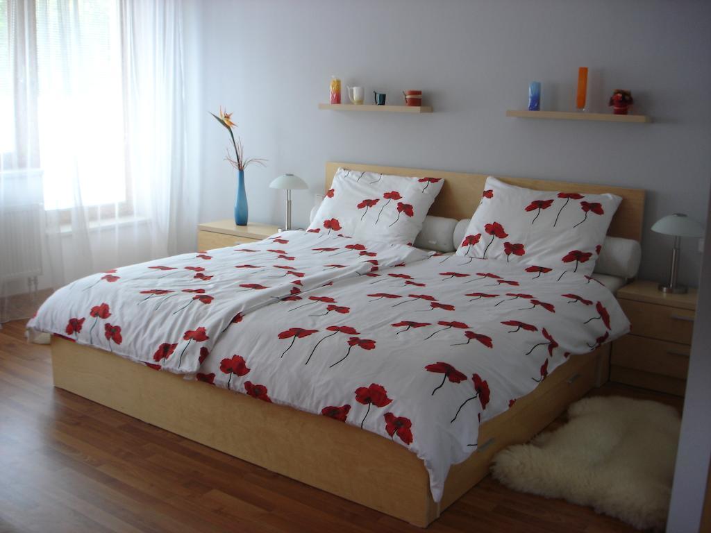Apartman Anezka ลูฮาโชวิตเซอ ภายนอก รูปภาพ